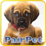 pairpet android application logo